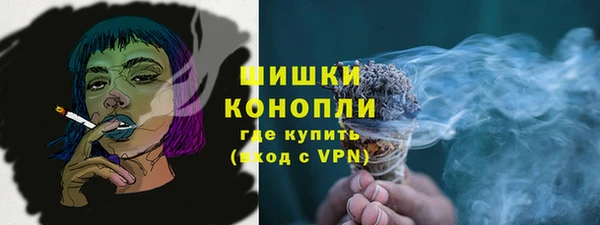 PSILOCYBIN Киренск