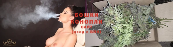 PSILOCYBIN Киренск
