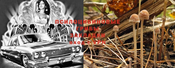 PSILOCYBIN Киреевск