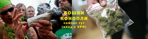 PSILOCYBIN Киренск
