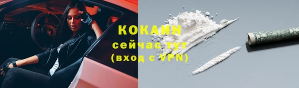 PSILOCYBIN Киренск