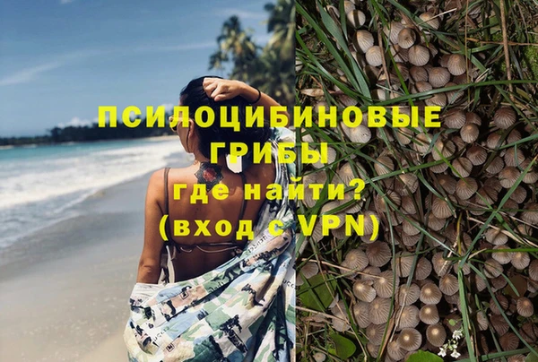 PSILOCYBIN Киренск