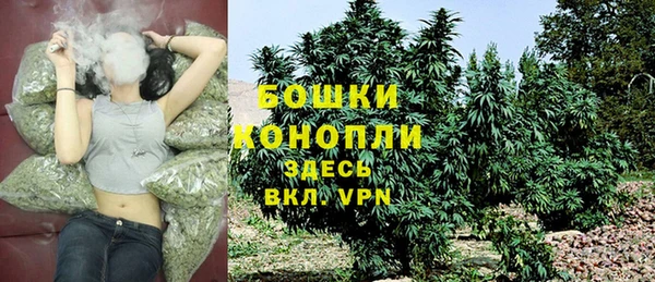 PSILOCYBIN Киреевск