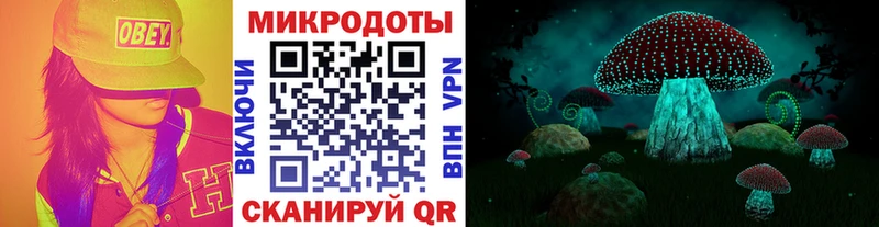 Купить закладки Кизилюрт Псилоцибиновые грибы Psilocybe