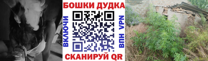 Купить где  Кизилюрт  Канабис марихуана 